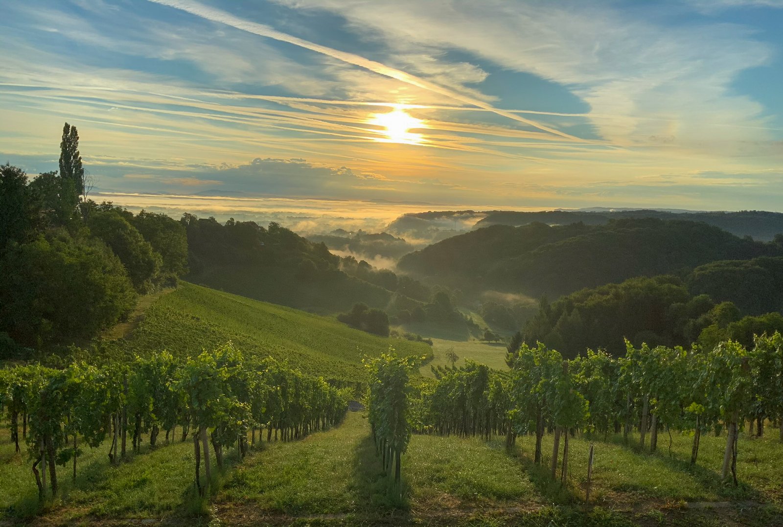 Das Haus mit Gartenterrasse und Wiese am Graßnitzberg in der Südsteiermark